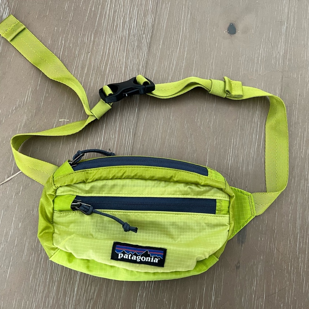 Patagonia Ultralight Travel Mini Hip Pack